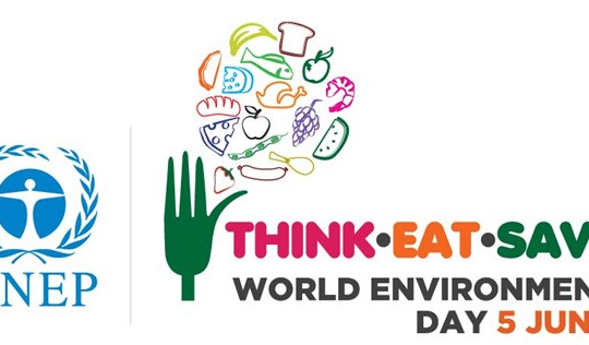 Ngày Môi trường thế giới 2013: “Think.Eat.Save”