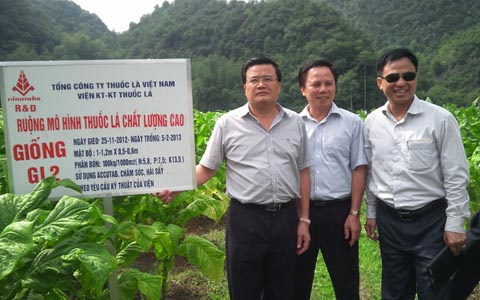Phát triển vùng nguyên liệu góp phần xây dựng nông thôn mới