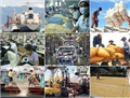 Thông tư quy định lãi suất cho vay tín dụng đầu tư, tín dụng đầu tư xuất khẩu 