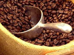 Giá cà phê Arabica giảm mạnh xuống mức thấp nhất kể từ đầu năm