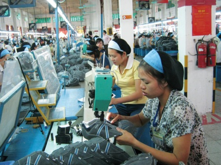 Kỳ vọng EU sẽ là thị trường lâu dài và ổn định