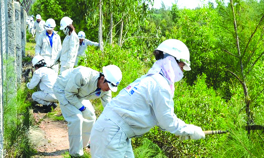 Bảo vệ môi trường tại Nhà máy Lọc dầu Dung Quất: Nhiệm vụ hàng đầu