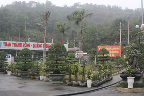 Than Hòn Gai hướng đến sản xuất sạch và an toàn