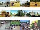 Quy hoạch phát triển thương mại vùng kinh tế trọng điểm vùng đồng bằng sông Cửu Long