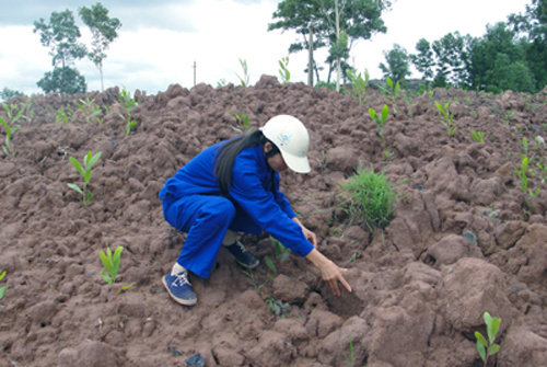 Nỗ lực hồi sinh vùng đất chết