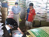 Thị trường phân bón trong nước tháng 8 năm 2013