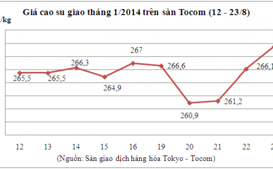Cao su trên sàn Tocom đang có xu hướng tăng giá trở lại