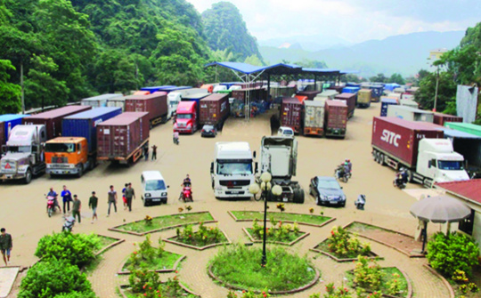 Chỉ thị 23: “Cây gậy” quản lý hoạt động tạm nhập tái xuất