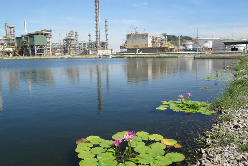 Niềm tin rạng ngời