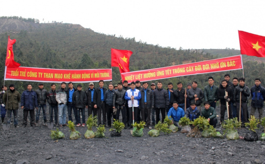 Đoàn TN Than Mạo Khê sôi nổi thực hiện Tết trồng cây
