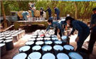 Điều lệ tổ chức Tập đoàn Công nghiệp Cao su Việt Nam