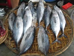 Tiềm năng xuất khẩu cá ngừ sang thị trường Đức