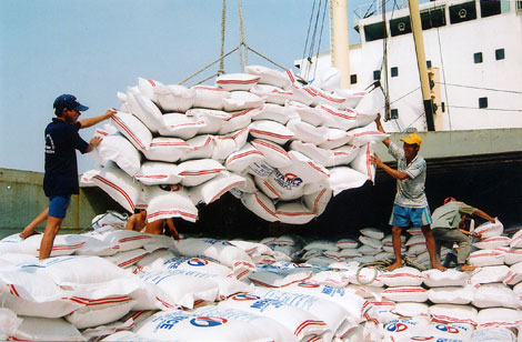 FAO: Dự báo kim ngạch xuất khẩu gạo của Việt Nam trong năm 2014 tăng 8%