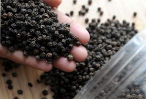 Giá hạt tiêu tăng, lãi khá cho người trồng