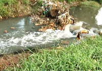 Bình Dương công khai 3.600 nguồn xả có nguy cơ cao gây ô nhiễm môi trường