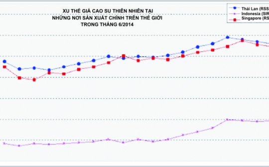  Xu thế thị trường cao su  tháng 6/2014
