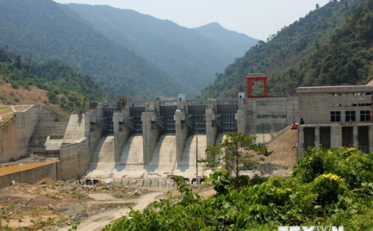 Các nhà đầu tư thủy điện chưa chú trọng trồng rừng thay thế