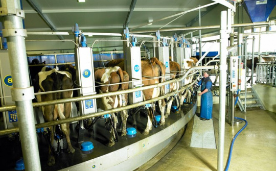 Tập đoàn sữa Fonterra mở rộng đầu tư tại Trung Quốc
