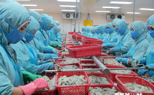 Cần Thơ xuất siêu 616 triệu USD, cao nhất từ trước đến nay