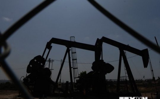 EIA hạ dự báo về sản lượng dầu của OPEC và nhu cầu dầu mỏ