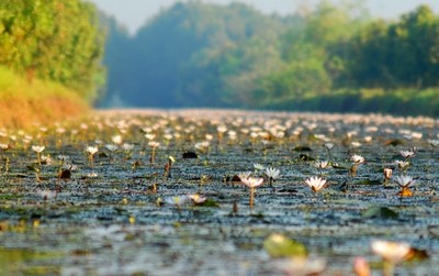Du lịch cuối năm: Nhiều chương trình khuyến mãi