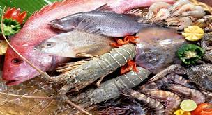 Việt Nam tham gia Hệ thống cấp chứng thư thủy sản vào EU