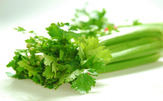 Dự thảo quy phạm thực hành vệ sinh đối với gia vị và rau thơm khô