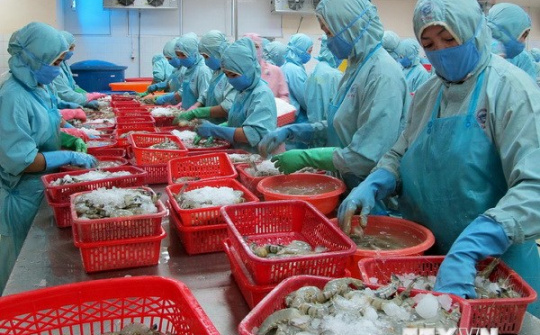 Ra mắt dự án phát triển xuất khẩu nông thủy sản sang Phần Lan
