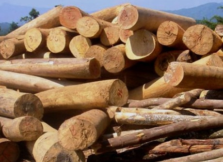 Việt Nam nhập siêu từ Lào