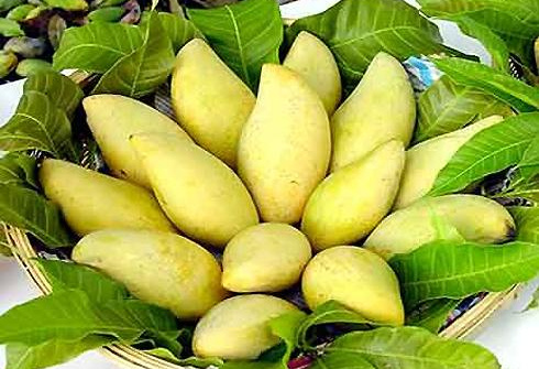 An toàn thực phẩm nâng cao giá trị nông sản