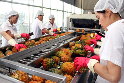 Việt Nam đã phải đối mặt với 73 vụ kiện phòng vệ thương mại
