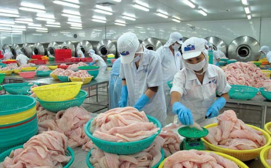 Doanh nghiệp Mexico khảo sát quá trình sản xuất chế biến cá tra của An Giang