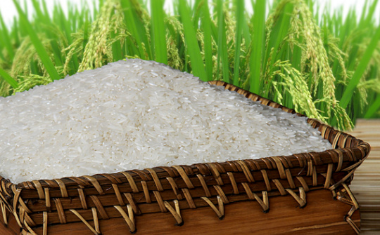 VFA: Xuất khẩu gạo đạt gần 5,5 triệu tấn