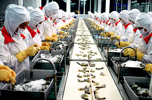 WTO công bố phán quyết về việc chống bán phá giá tôm Việt Nam