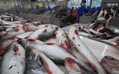 Việt Nam không bán phá giá filet cá tra, cá ba sa vào Hoa Kỳ 
