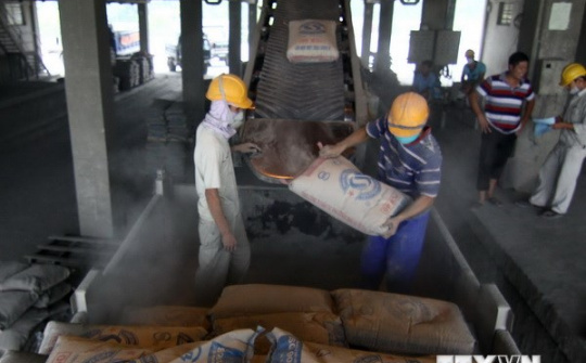 Thị trường xi măng 2014: Tiêu thụ nội địa và xuất khẩu “được mùa”