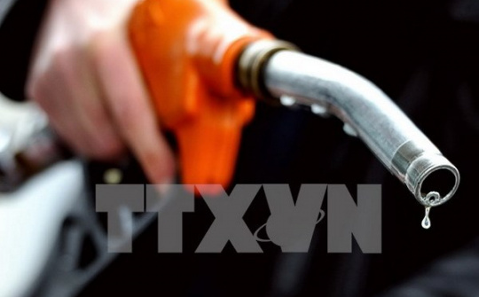 Giá dầu thô phá “đáy” trong 5 năm sau dự báo của IEA và OPEC
