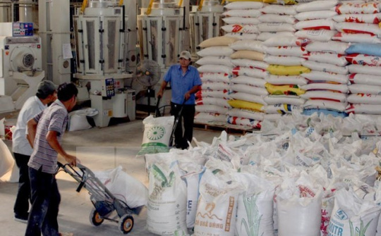 Việt Nam và Algeria đặt mục tiêu kim ngạch hai chiều lên 1 tỷ USD