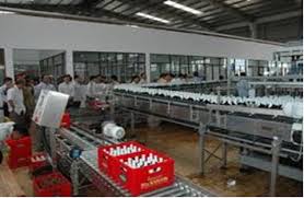 Tiềm năng sử dụng trấu thay thế dầu FO trong sản xuất bia