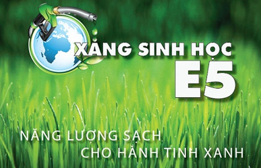 Quy chuẩn kỹ thuật quốc gia về trang thiết bị, phụ trợ sử dụng trong tồn trữ và phân phối xăng sinh học E10 tại cửa hàng xăng dầu 