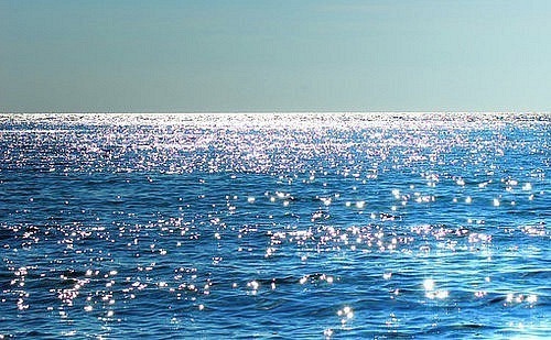 EU hướng dẫn luật dán nhãn thủy sản mới