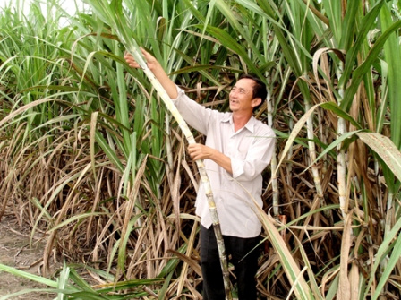 Xây dựng NTM Hà Long – Hà Trung: Phấn đấu về đích đúng hẹn