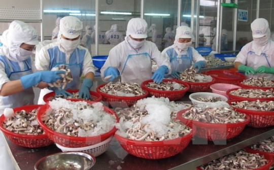 HSBC: Kinh tế Việt Nam sẽ tươi sáng hơn trong ngắn hạn