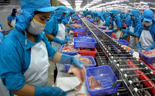 Cần Thơ đầu tư 225 tỷ đồng mở rộng nhiều khu công nghiệp