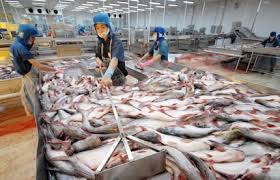 Nông thủy sản Việt Nam xuất khẩu vào Ả-rập Xê-út bị từ chối do vi phạm quy định vệ sinh an toàn thực phẩm