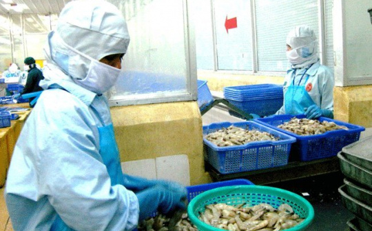 Mỹ điều chỉnh thuế chống phá giá tôm Việt Nam xuống dưới 1%
