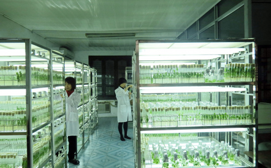 Viện Kinh tế Kỹ thuật Thuốc lá: Phát huy cơ chế tự chủ ở doanh nghiệp khoa học công nghệ