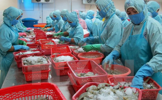 Tăng cường xuất khẩu bằng đổi mới xúc tiến thương mại