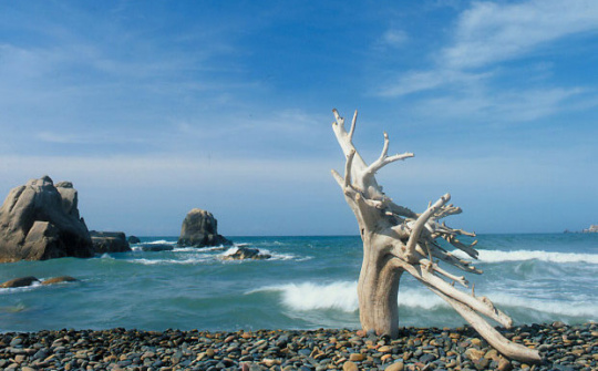 Gặp ở Phan Thiết