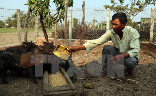 Gần 400.000 lượt hộ chính sách được vay vốn ưu đãi trong quý 1/2015